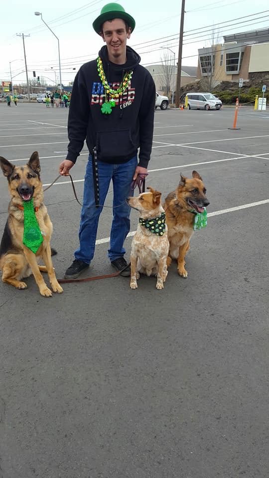 Three dogs waiting for the parade to start 