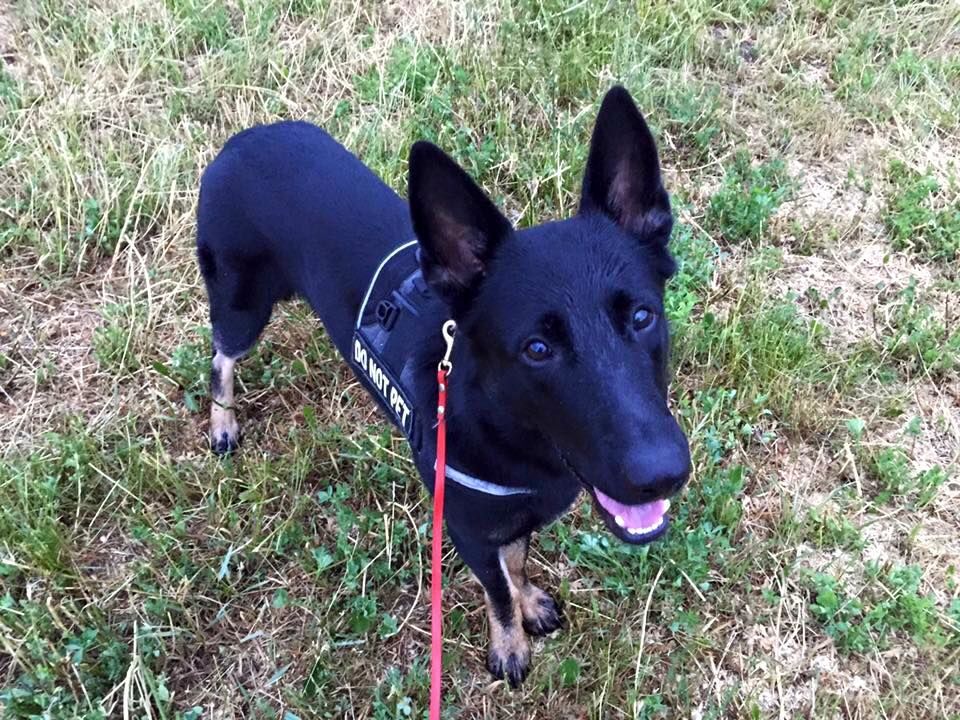  Titan when he was young 