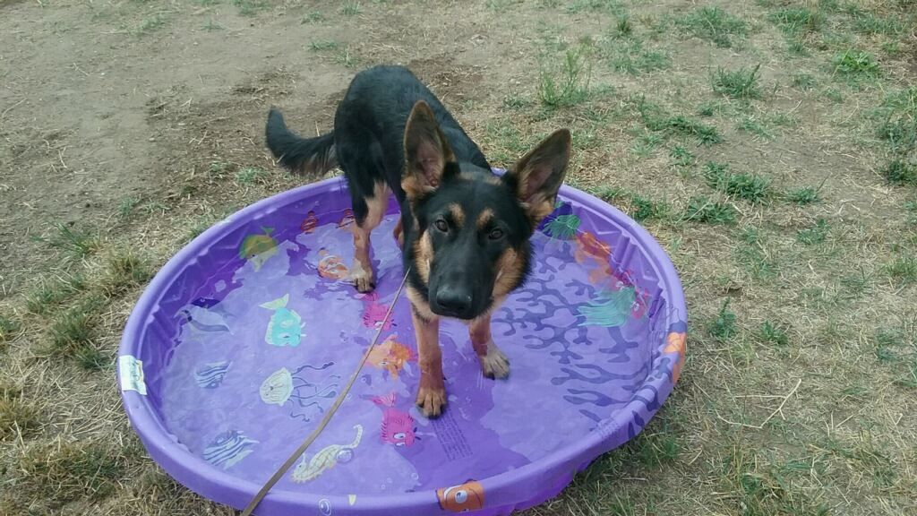  Taking a break during training 