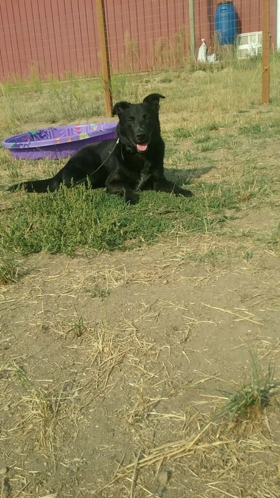  Hanging out for a bit 