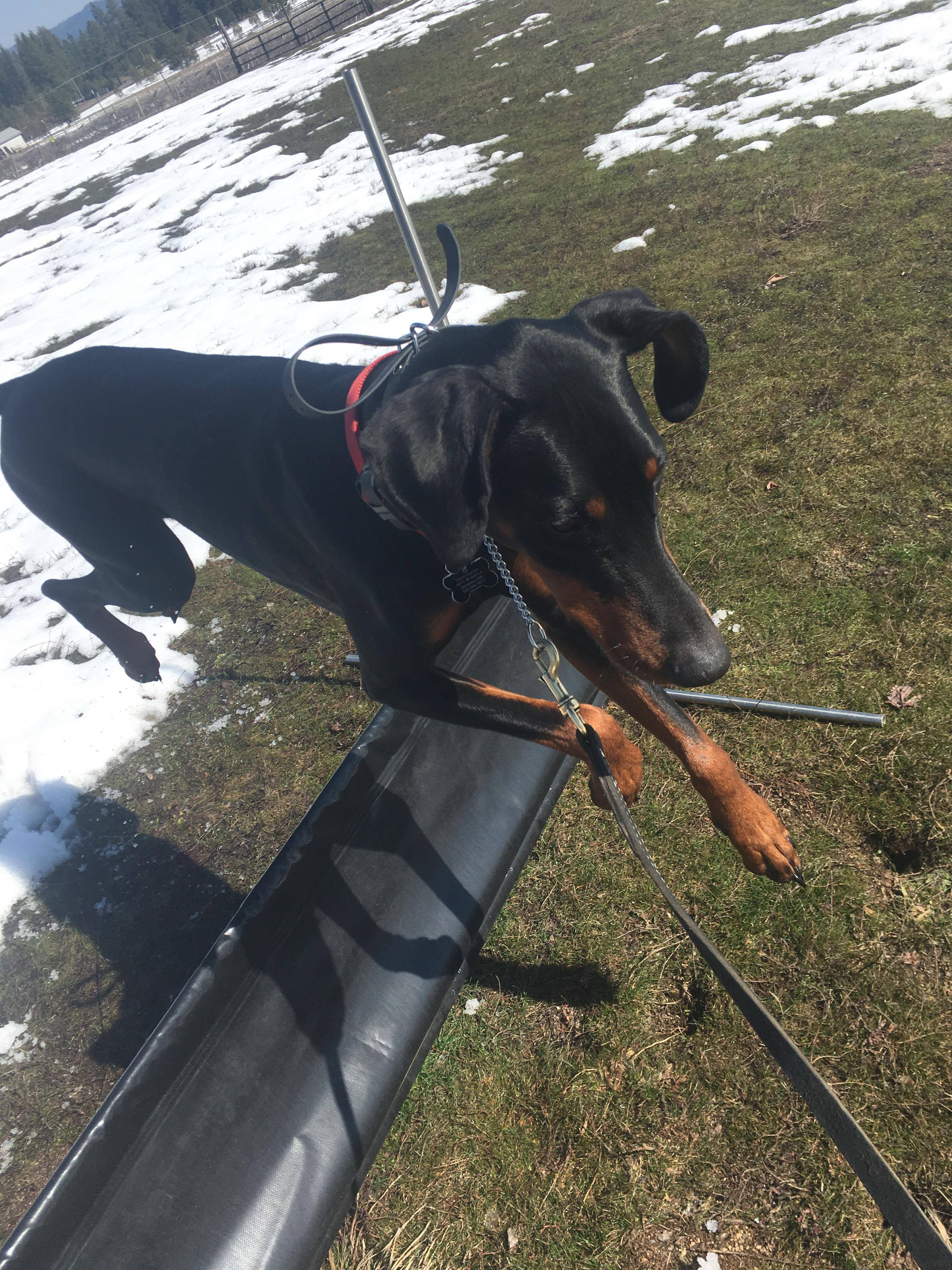  I knew I can jump that 