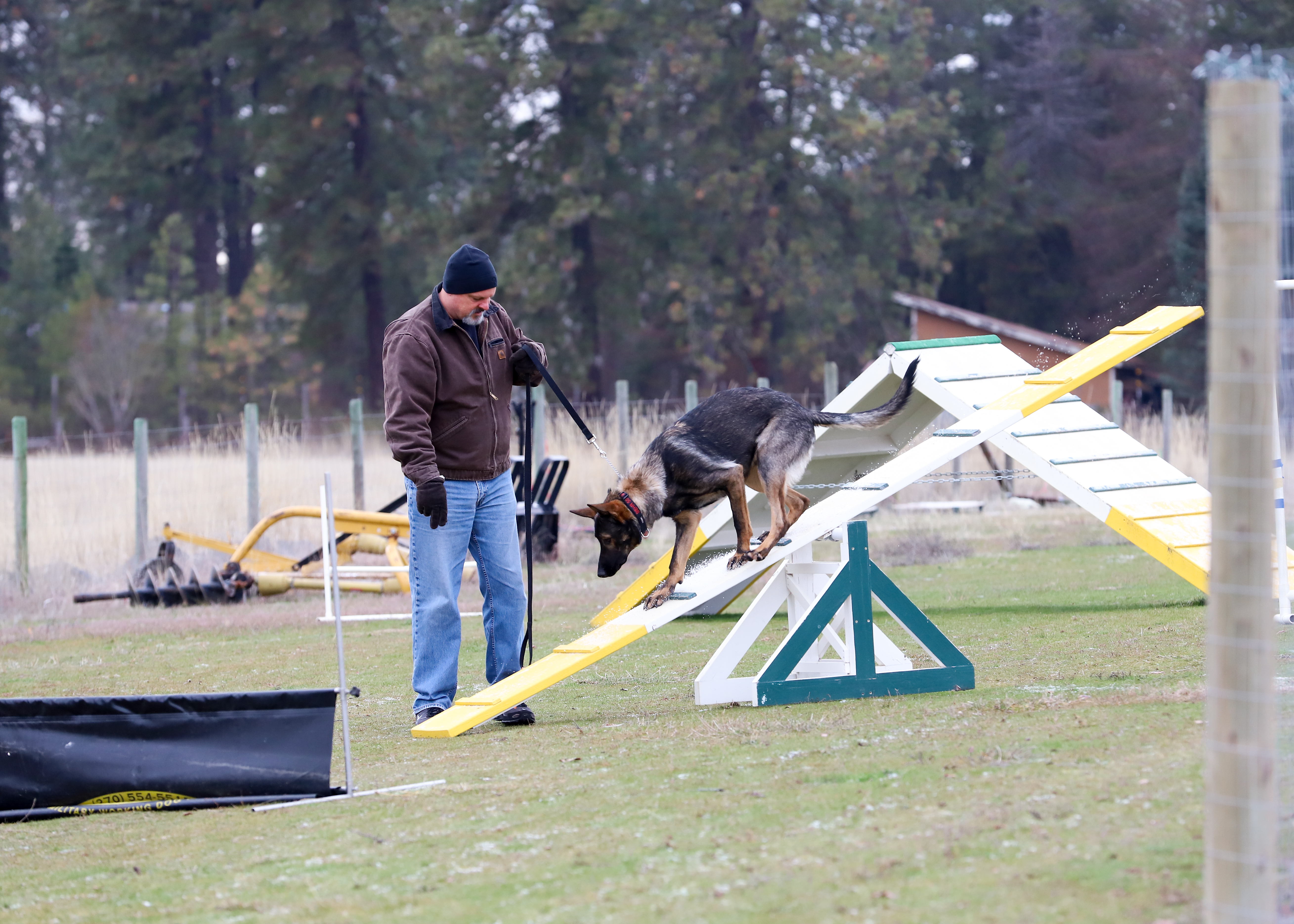  Dogs do teeter-totters too 