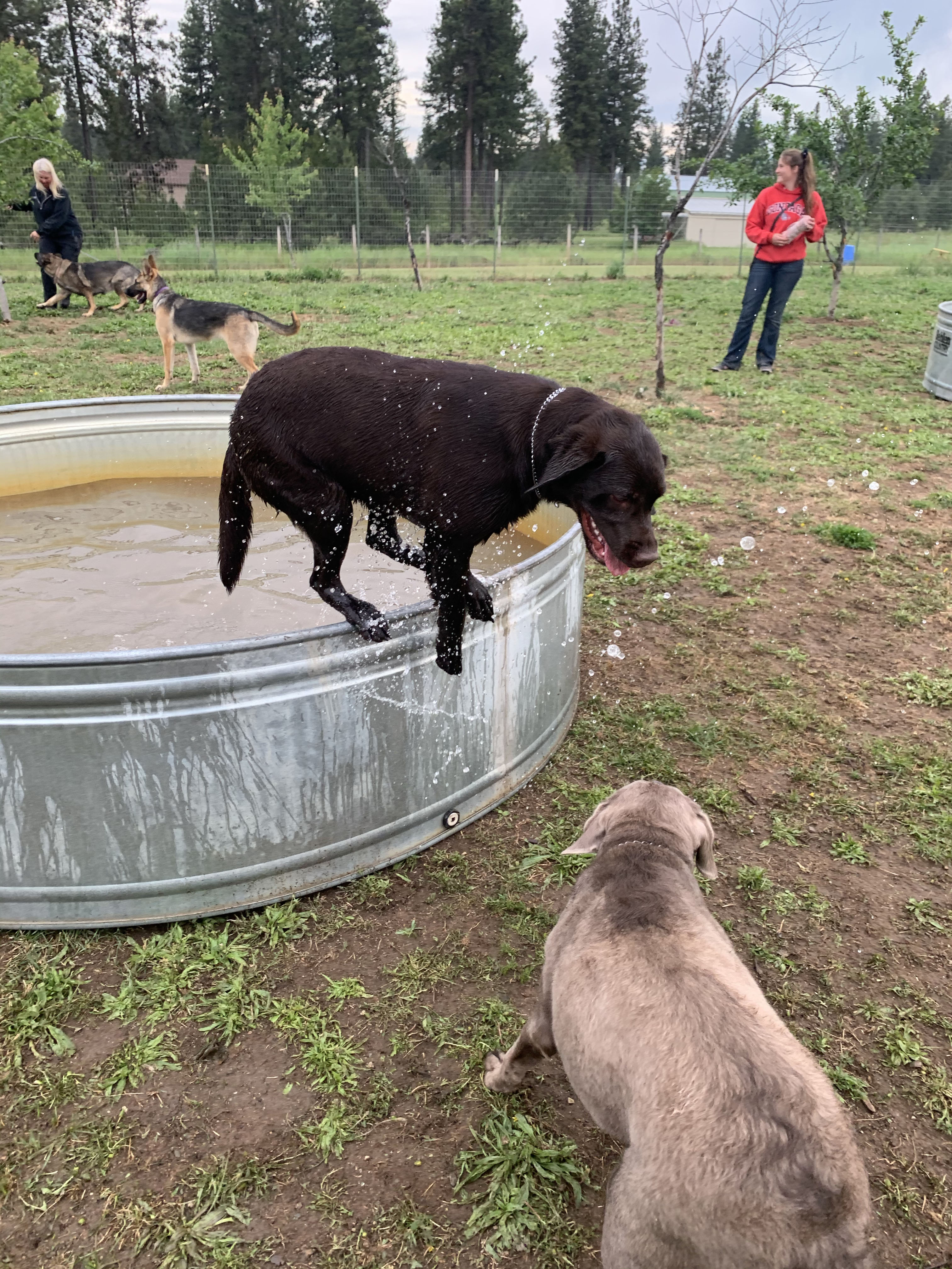  Pool time at day school 