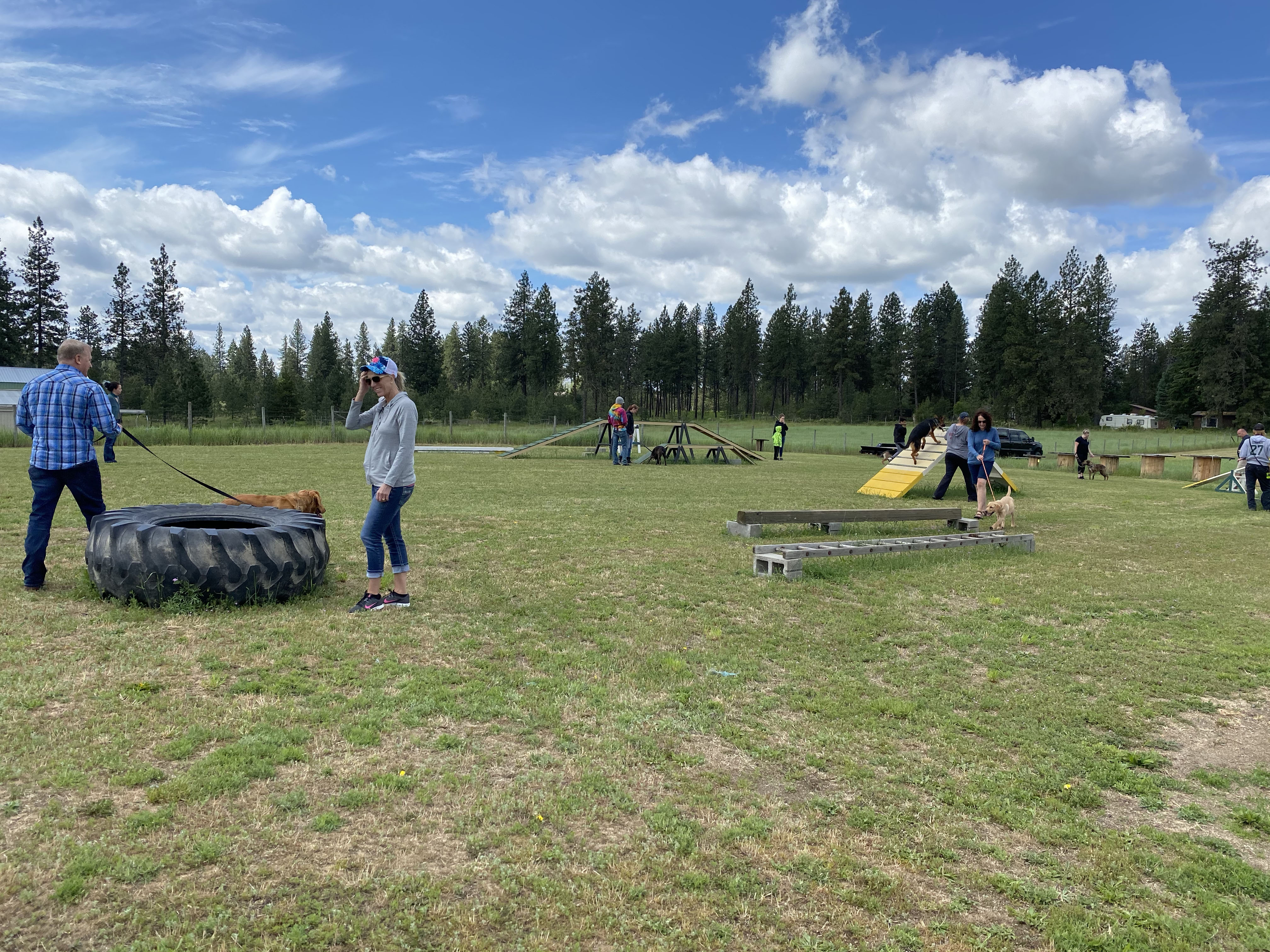  Canine agility after obedience class 