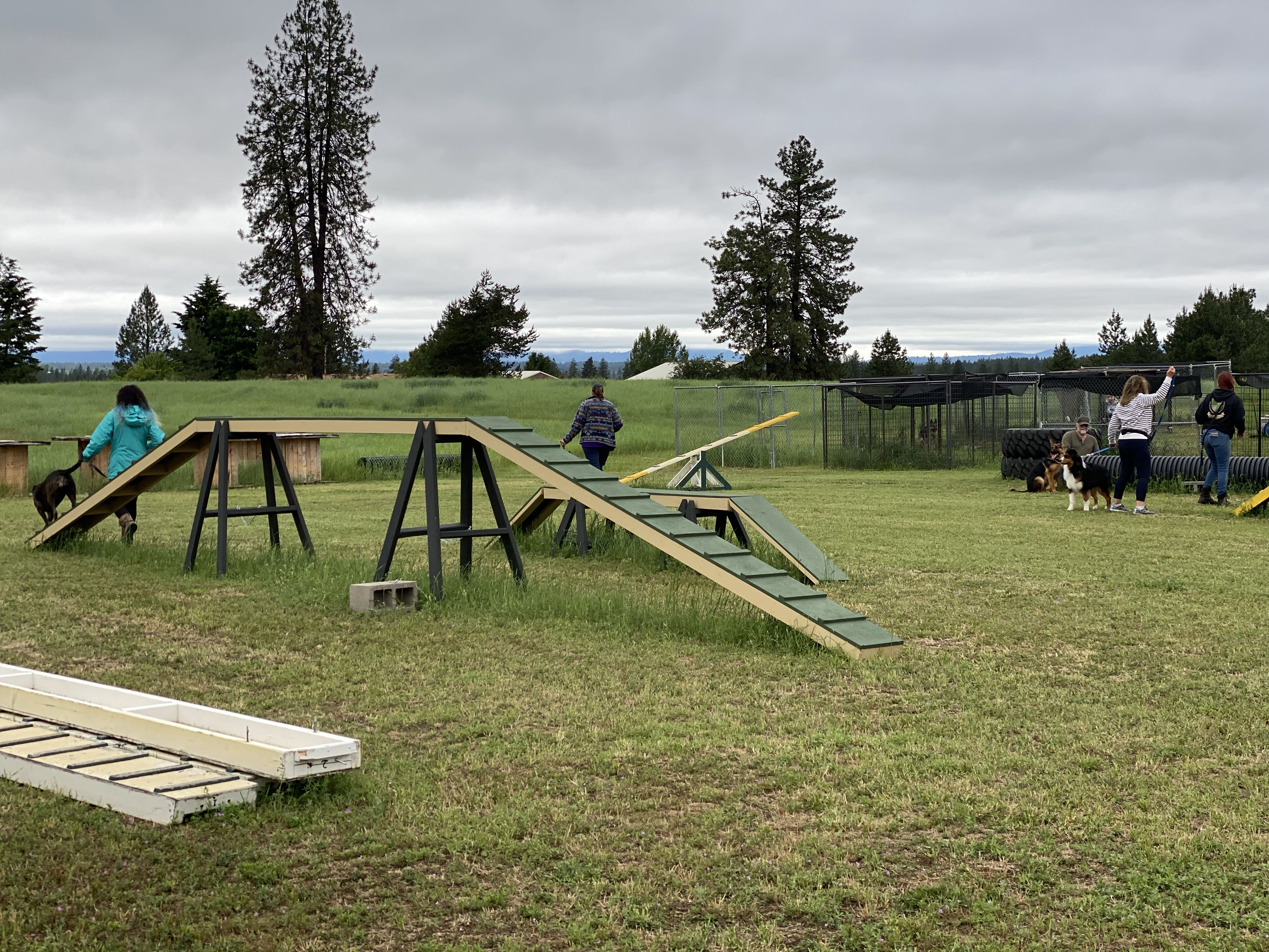  Agility after obedience class 