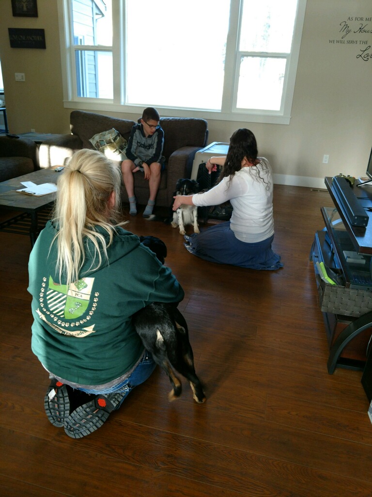  Indoor training at a client house 